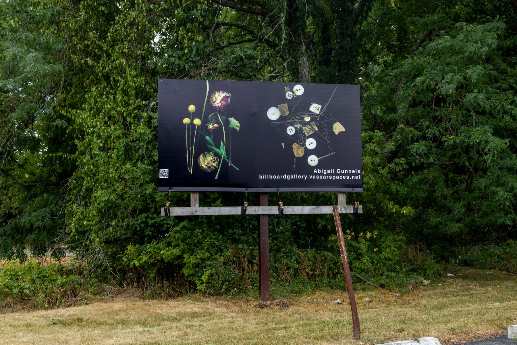 Billboard2sm