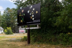 Billboard1sm