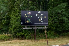 Billboard2sm
