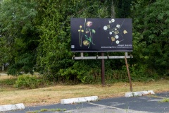 Billboard3sm