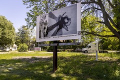 FINN_SMITH_WEBSITE_11